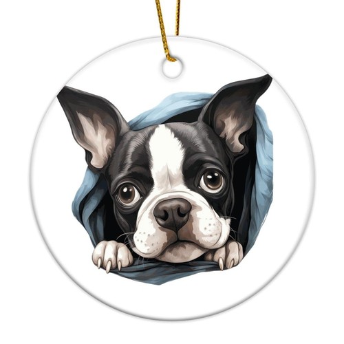 Sbirciando boston terrier - sbirciando,